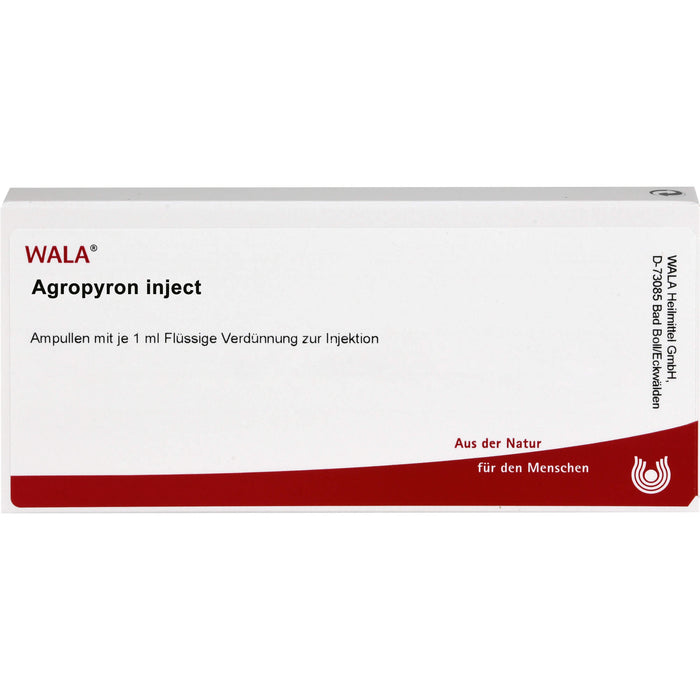 Agropyron Inject Ampullen, 10 St. Ampullen