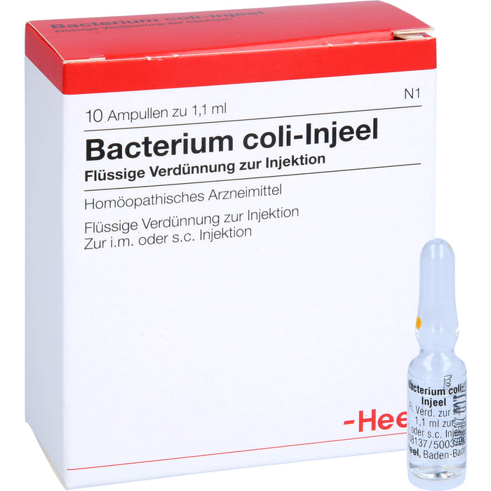 Bacterium coli-Injeel Inj.-Lsg., 10 pcs. Ampoules