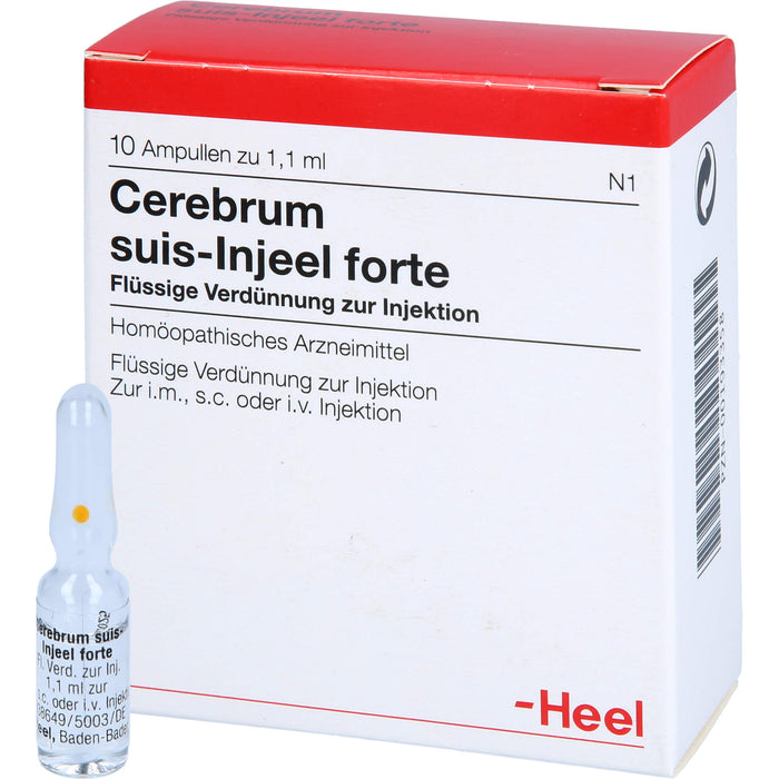 Cerebrum suis-Injeel forte flüssige Verdünnung, 10 pc Ampoules