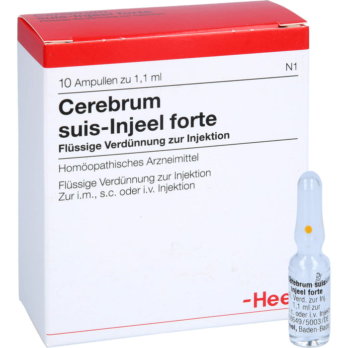 Cerebrum suis-Injeel forte flüssige Verdünnung, 10 pc Ampoules
