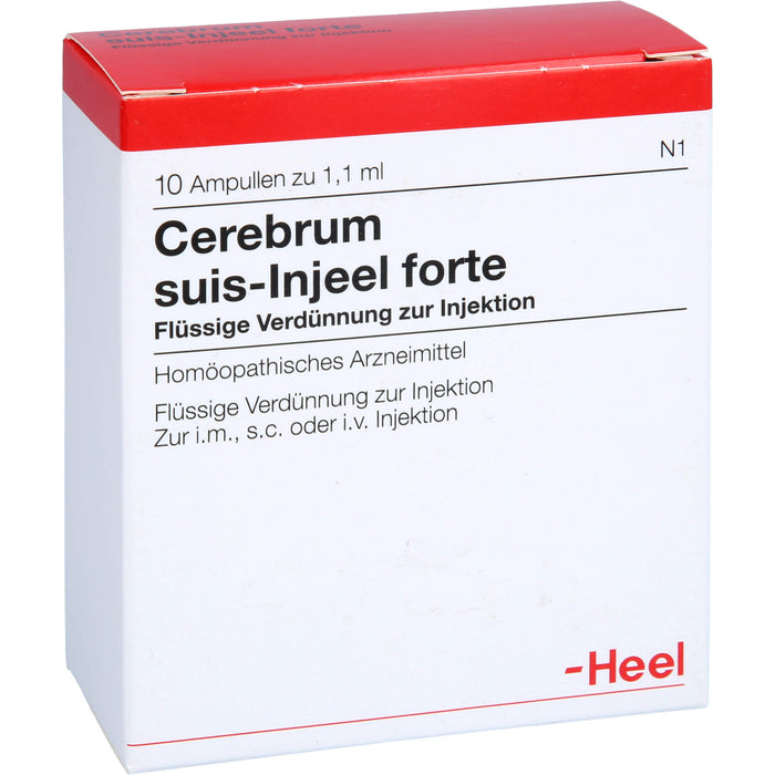 Cerebrum suis-Injeel forte flüssige Verdünnung, 10 pc Ampoules