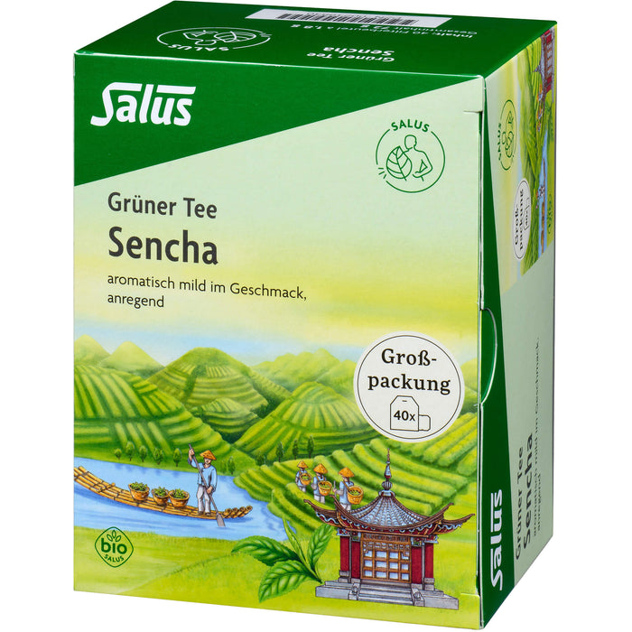 Grüner Tee Grosspackung bio Salus, 40 St FBE