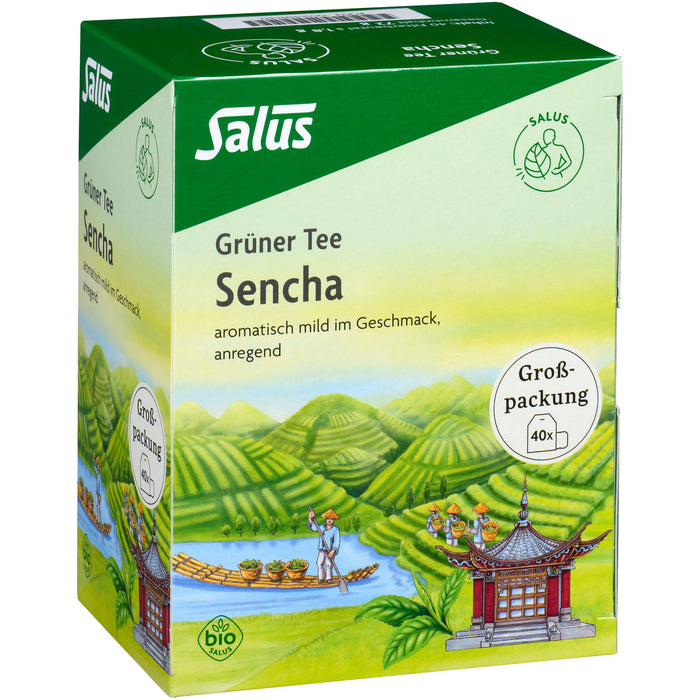 Grüner Tee Grosspackung bio Salus, 40 St FBE