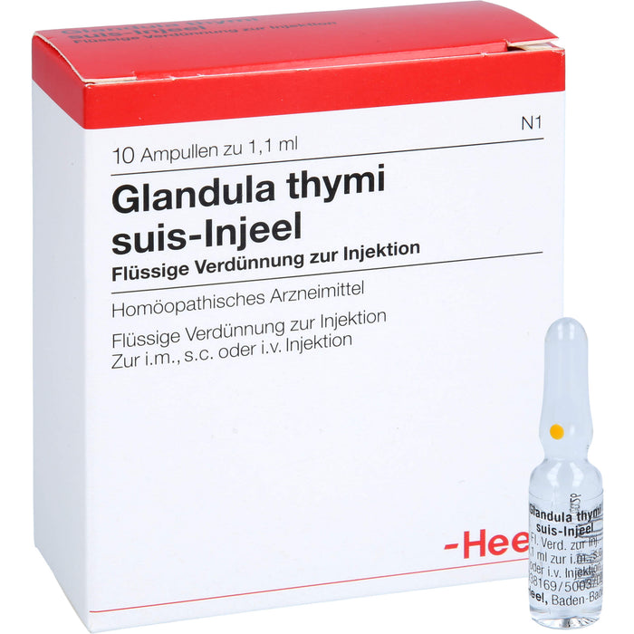 Glandula thymi suis-Injeel Inj.-Lsg., 10 St AMP
