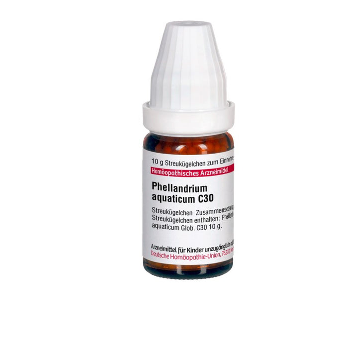 Phellandrium aquaticum C30 DHU Globuli, 10 g Globules