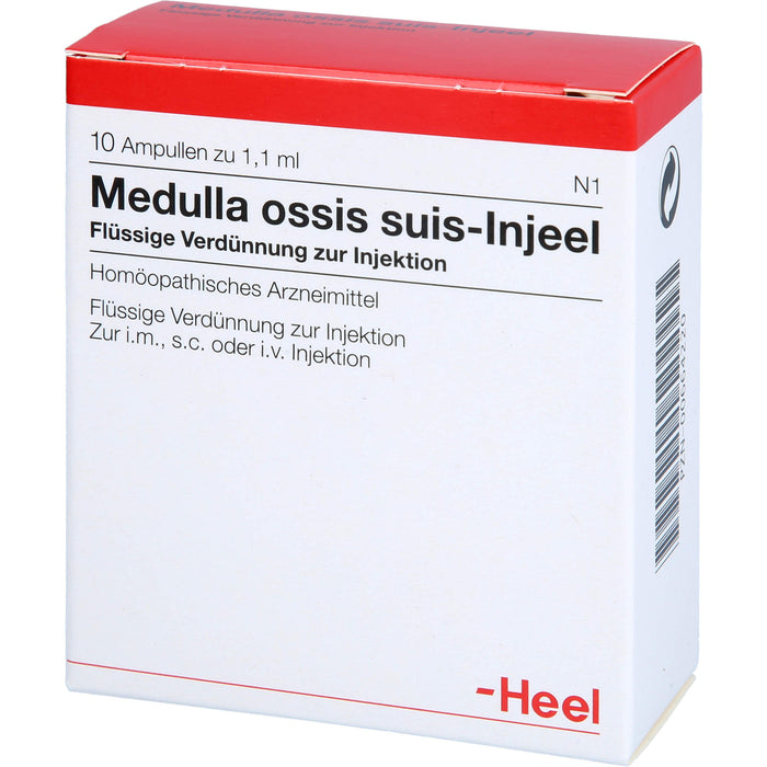 Medulla ossis suis-Injeel Inj.-Lsg., 10 pcs. Ampoules