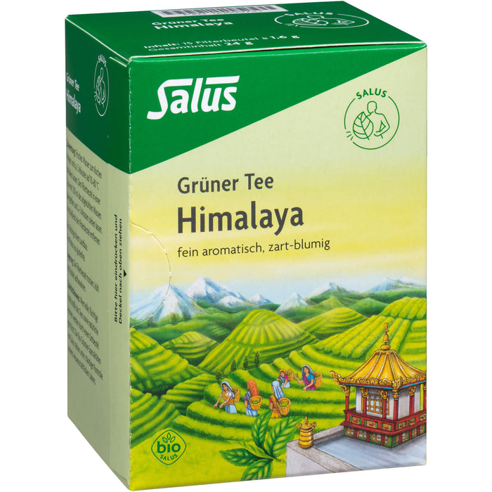Salus Grüner Tee Himalaya fein aromatisch, zart-blumig, 15 pc Sac filtrant