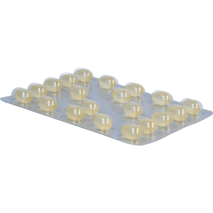 Soledum Kapseln forte, 20 pcs. Capsules