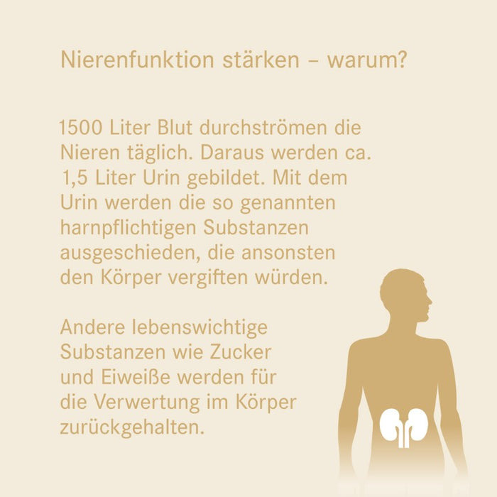 Pascorenal N Mischung bei Nierenfunktionsstörungen, 100 ml Solution