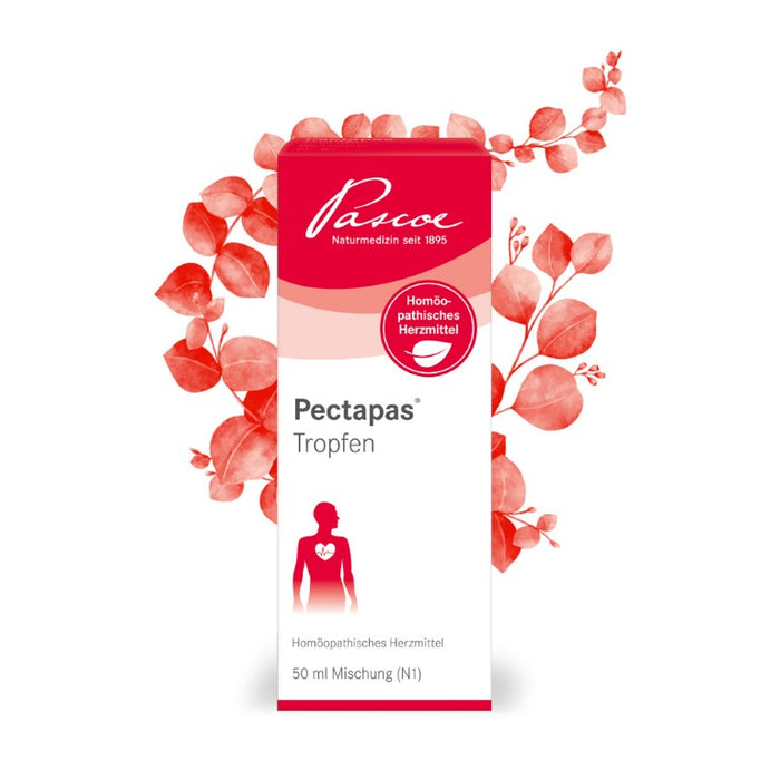Pectapas  Tropfen, 50 ml Solution