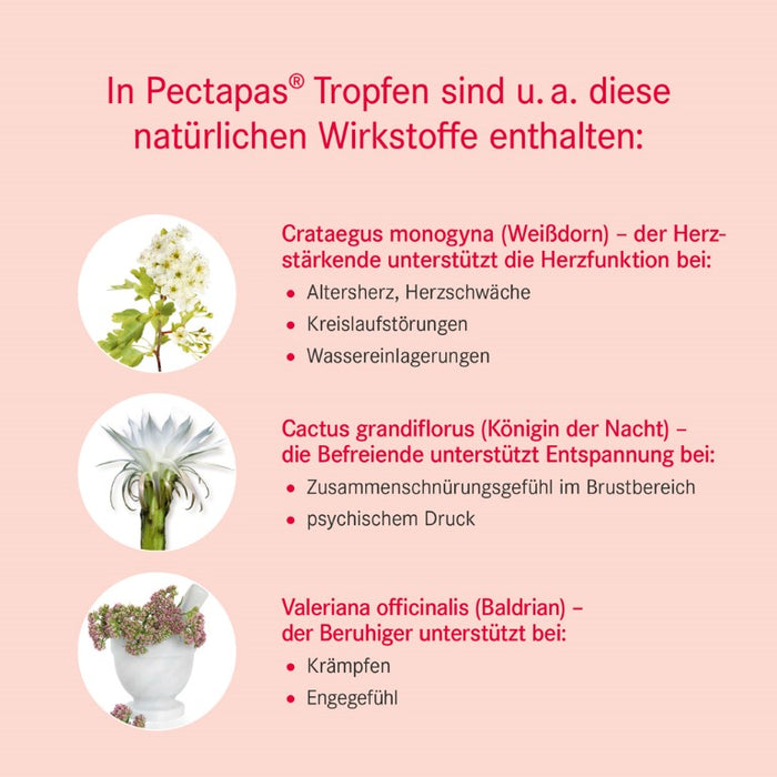 Pectapas  Tropfen, 50 ml Solution