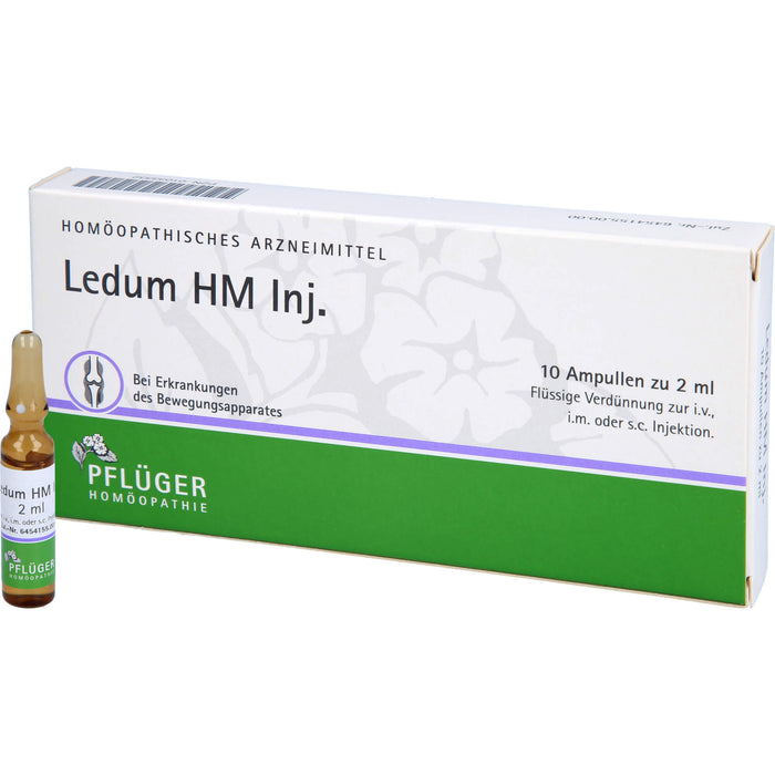 Pflüger Ledum HM Inj. flüssige Verdünnung bei Erkrankungen des Bewegungsapparates, 10 pc Ampoules