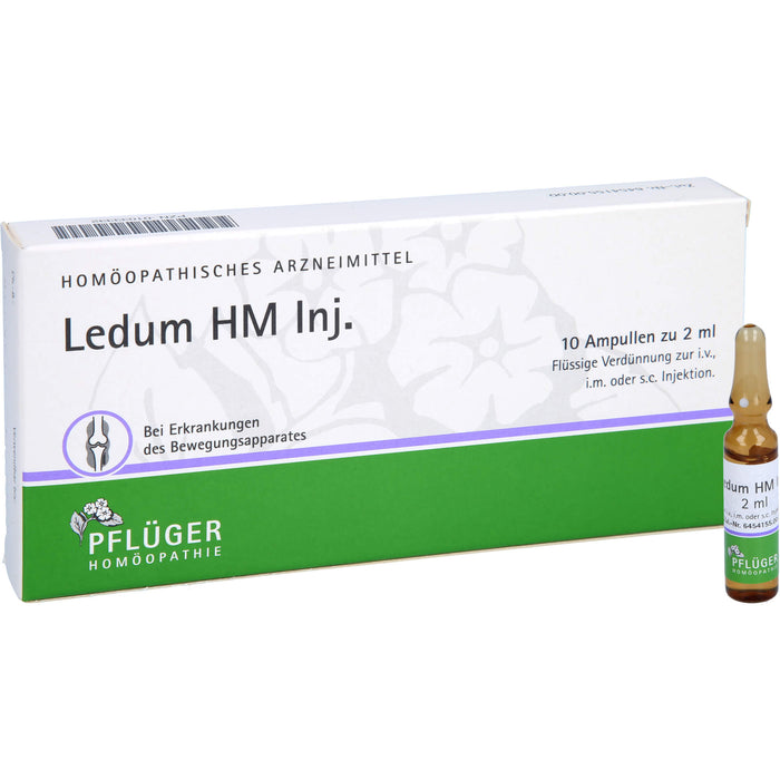 Pflüger Ledum HM Inj. flüssige Verdünnung bei Erkrankungen des Bewegungsapparates, 10 pc Ampoules