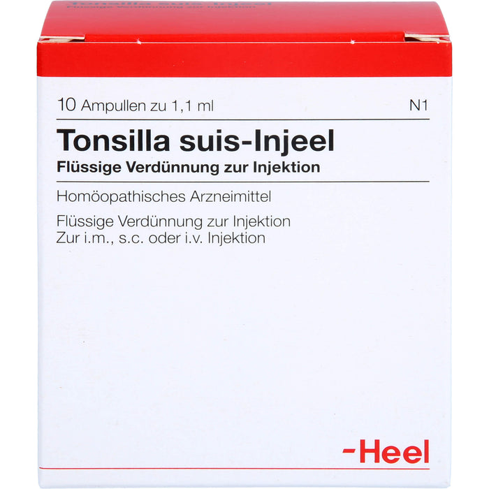 Tonsilla Suis-Injeel flüssige Verdünnung, 10 St. Ampullen