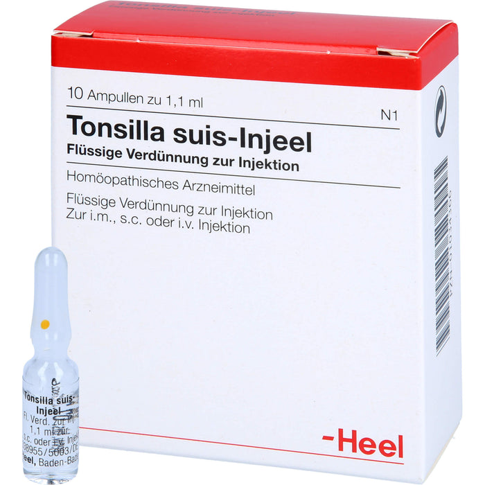 Tonsilla Suis-Injeel flüssige Verdünnung, 10 pcs. Ampoules