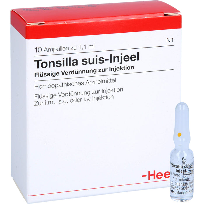 Tonsilla Suis-Injeel flüssige Verdünnung, 10 pc Ampoules