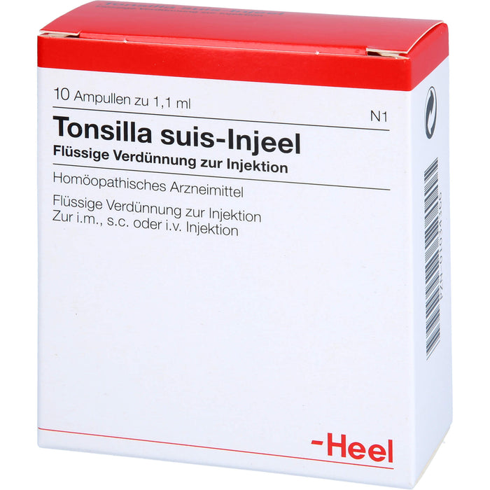 Tonsilla Suis-Injeel flüssige Verdünnung, 10 pcs. Ampoules