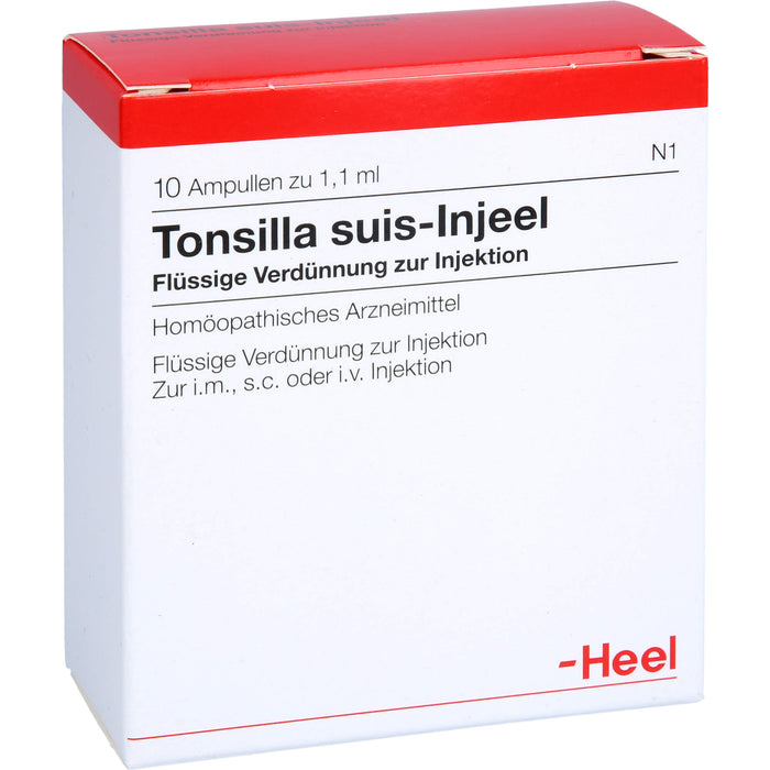 Tonsilla Suis-Injeel flüssige Verdünnung, 10 pcs. Ampoules