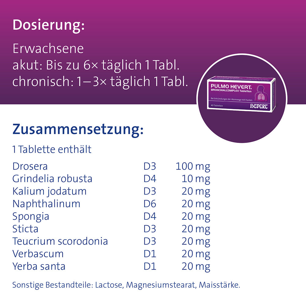 Pulmo Hevert Bronchialcomplex bei Entzündungen der Atemwege mit Husten, 40 St. Tabletten