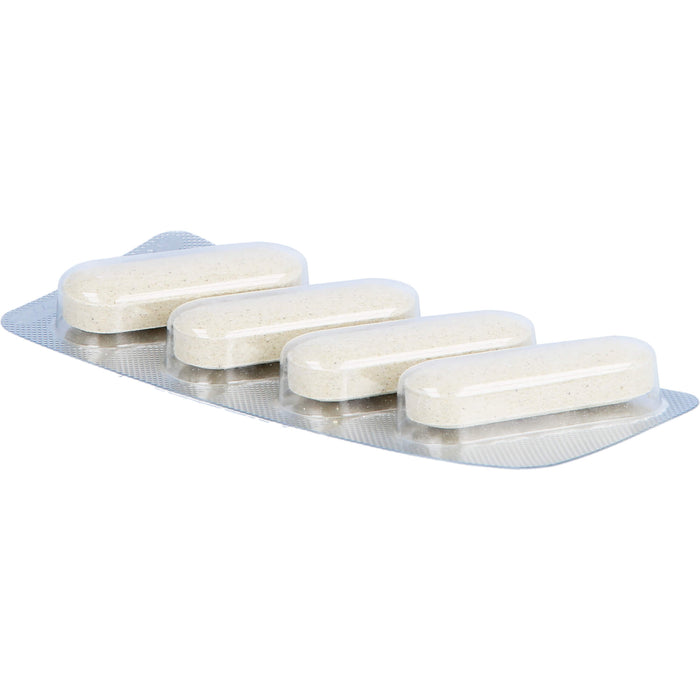 CANIKUR VET, 12 pcs. Tablets