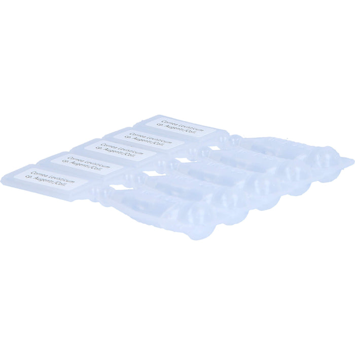 Cornea/Levisticum comp. Wala Augentropfen, 5 pcs. Single-dose pipettes