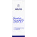 Bryophyllum Argento cultum D2 WELEDA Dil., 50 ml Lösung