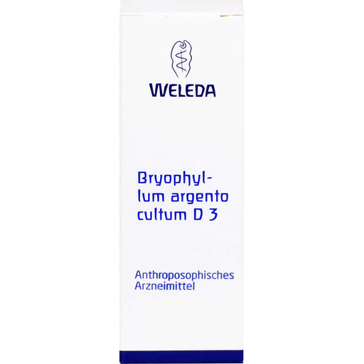 Bryophyllum Argento cultum D3 WELEDA Dil., 50 ml Lösung