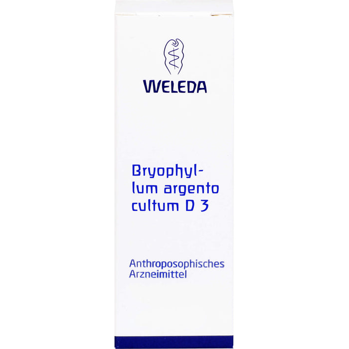 Bryophyllum Argento cultum D3 WELEDA Dil., 50 ml Lösung