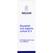 Bryophyllum Argento cultum D3 WELEDA Dil., 50 ml Lösung