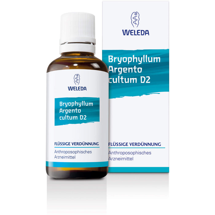 Bryophyllum Argento cultum D3 WELEDA Dil., 50 ml Solution