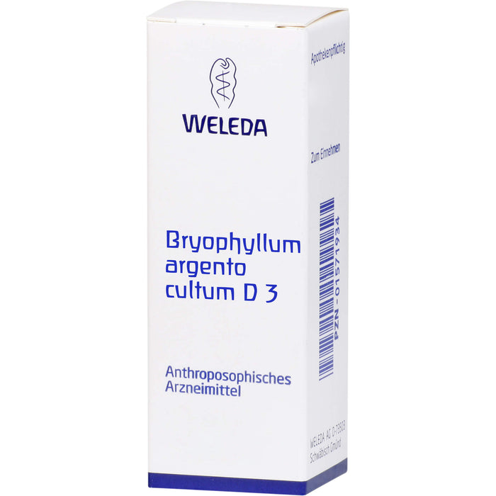 Bryophyllum Argento cultum D3 WELEDA Dil., 50 ml Solution