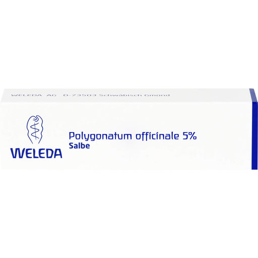 Polygonatum officinale 5% WELEDA Salbe, 25 g Salbe