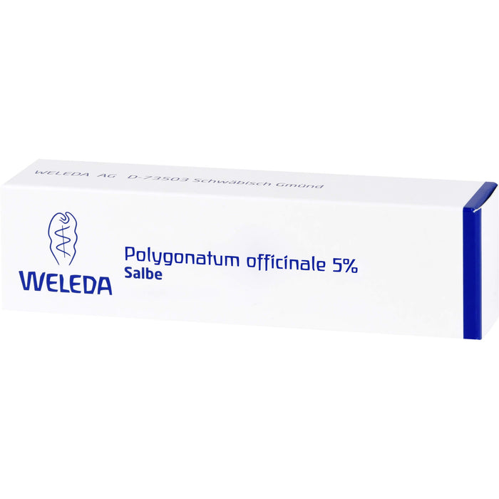 Polygonatum officinale 5% WELEDA Salbe, 25 g Ointment