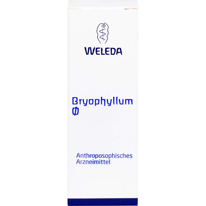 WELEDA Bryophyllum Urtinktur, 50 ml Lösung