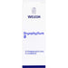 WELEDA Bryophyllum Urtinktur, 50 ml Lösung