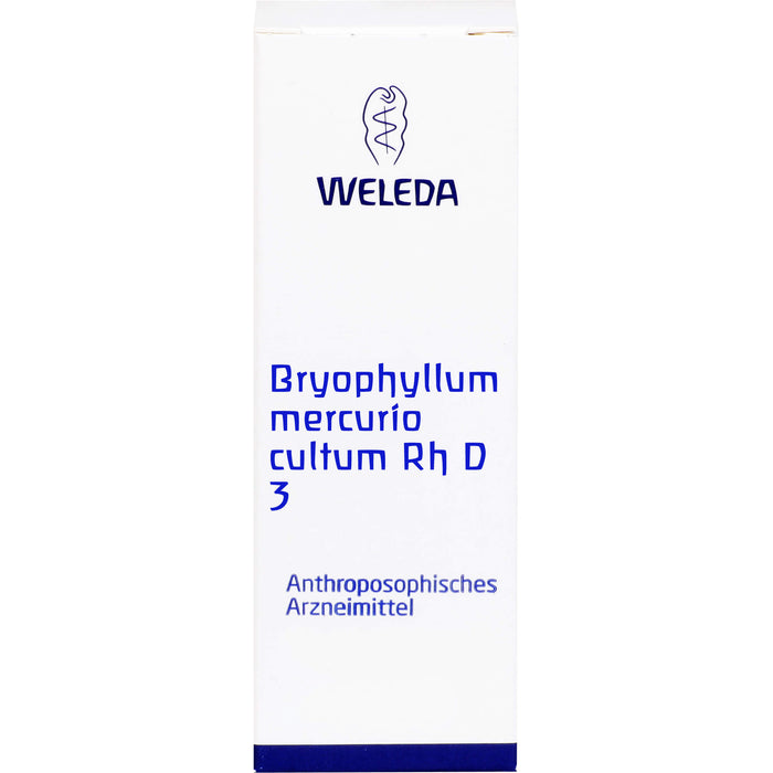 WELEDA Bryophyllum Mercurio cultum Rh D3 flüssige Verdünnung, 20 ml Lösung