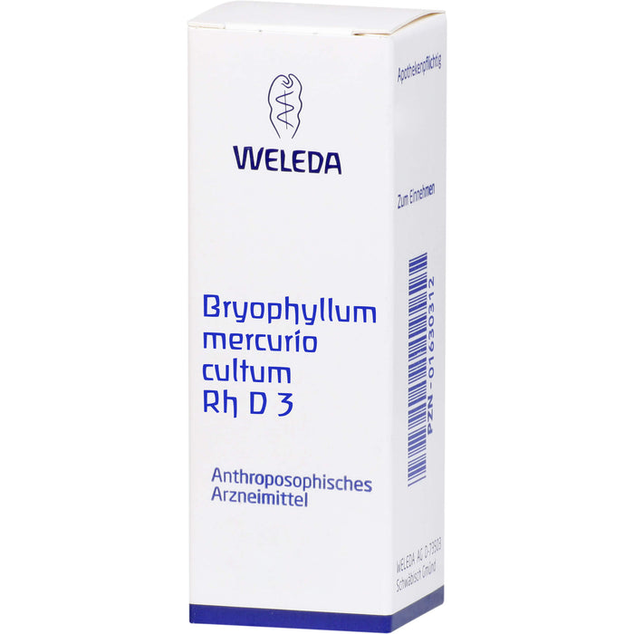 WELEDA Bryophyllum Mercurio cultum Rh D3 flüssige Verdünnung, 20 ml Solution