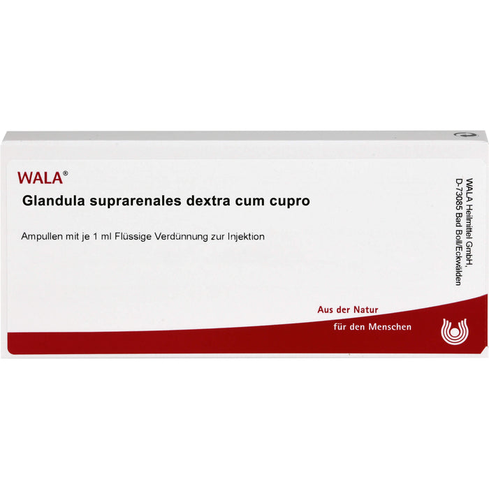 WALA Glandula Suprarenalis dextra cum Cupro flüssige Verdünnung, 10 pc Ampoules