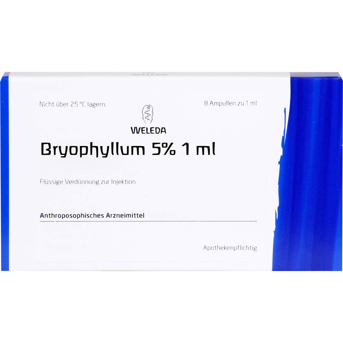 Bryophyllum 5% (1 ml) Injektionslösung, 8X1 ml ILO