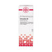 Colocynthis D6 DHU Dilution, 20 ml Lösung
