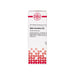 Sabal serrulatum D2 DHU Dilution, 20 ml Lösung