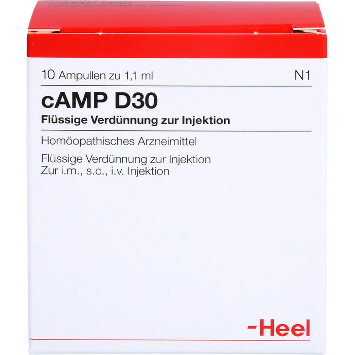 Heel cAMP D30 flüssige Verdünnung, 10 St. Ampullen