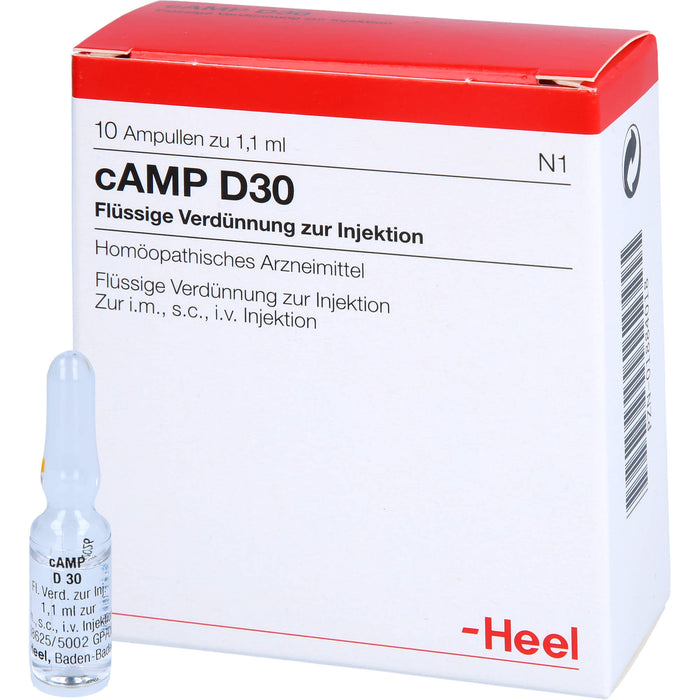 Heel cAMP D30 flüssige Verdünnung, 10 pc Ampoules