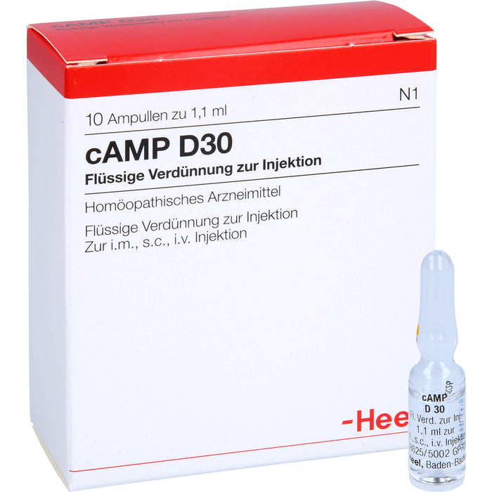 Heel cAMP D30 flüssige Verdünnung, 10 pc Ampoules