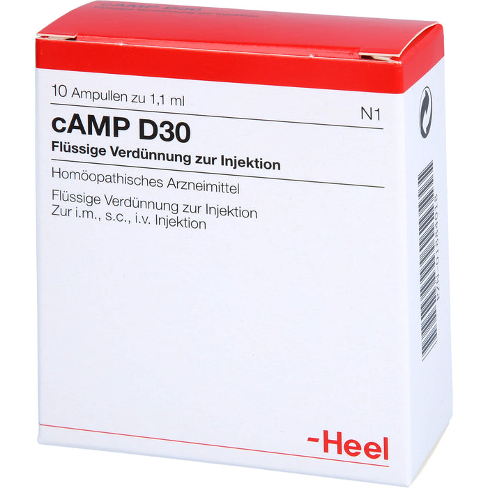 Heel cAMP D30 flüssige Verdünnung, 10 pc Ampoules