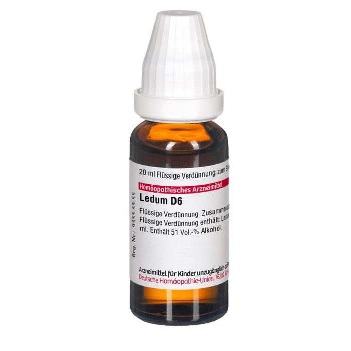 DHU Ledum D6 Dilution, 20 ml Solution
