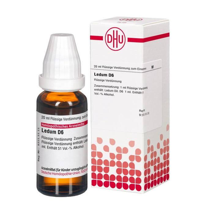 DHU Ledum D6 Dilution, 20 ml Solution
