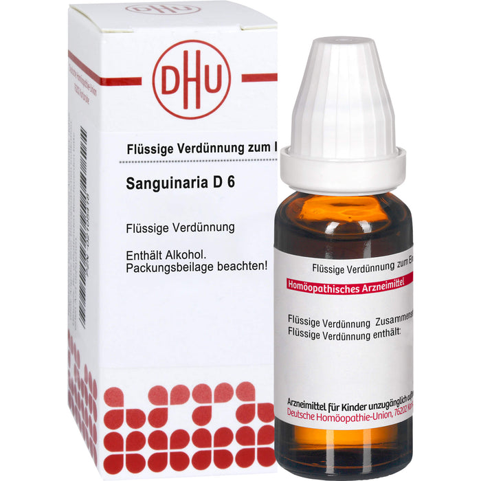 Sanguinaria D6 DHU Dilution, 20 ml Solution