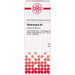 DHU Staphisagria D4 Dilution, 20 ml Lösung