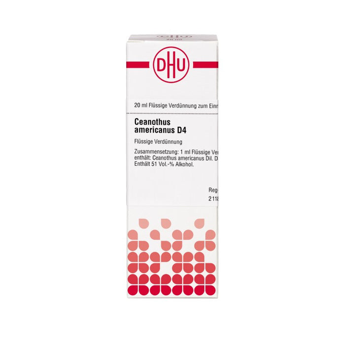 Ceanothus americanus D4 DHU Dilution, 20 ml Lösung